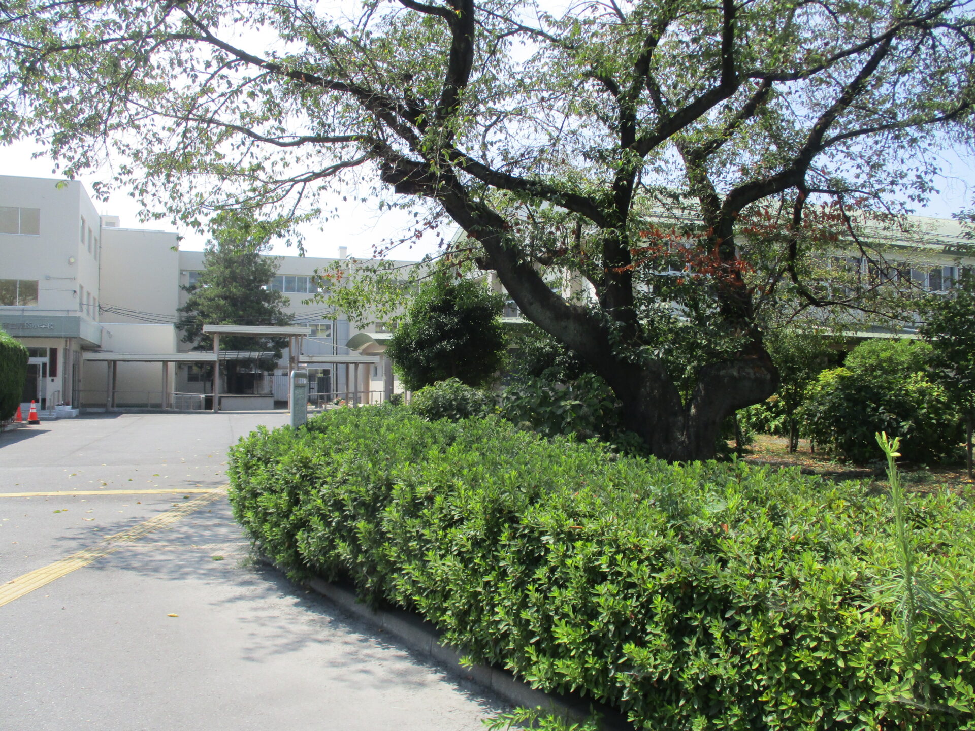 今年度最後の全体練習がありました | 熊谷市立籠原小学校
